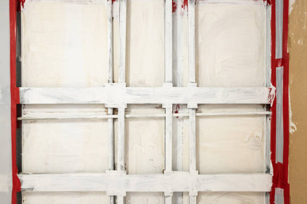 Trusted Rock Hill, MO Mold Removal Experts